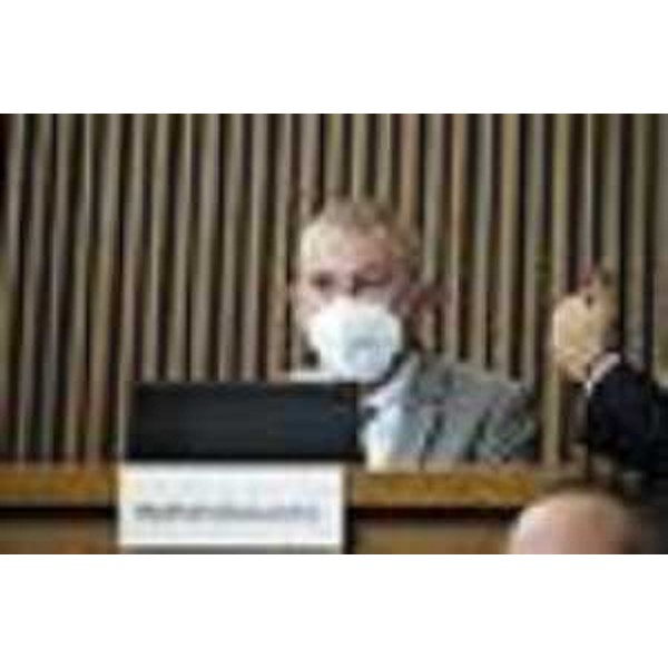 Alessandro Basso (Fratelli d'Italia) - Alessandro Basso (Fratelli d'Italia)