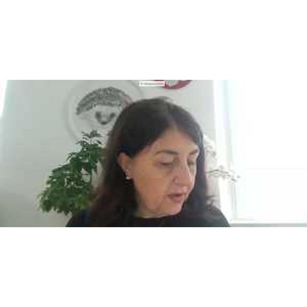 Mariagrazia Santoro (Pd) in videoconferenza - Mariagrazia Santoro (Pd) in videoconferenza