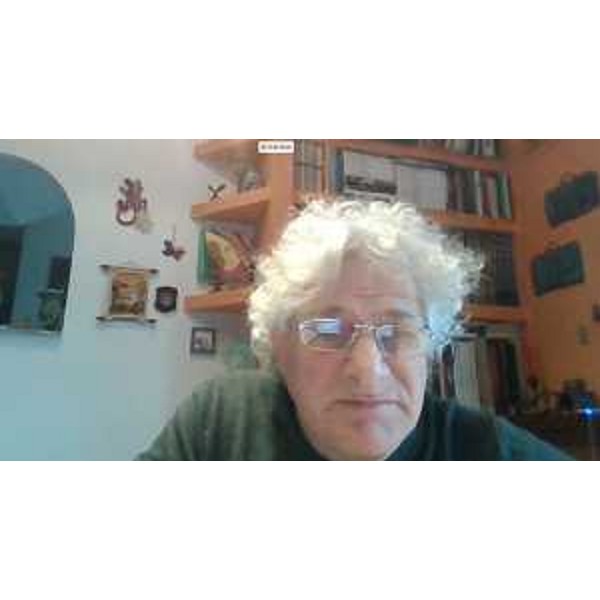 Elia Miani (Lega) in videoconferenza - Elia Miani (Lega) in videoconferenza