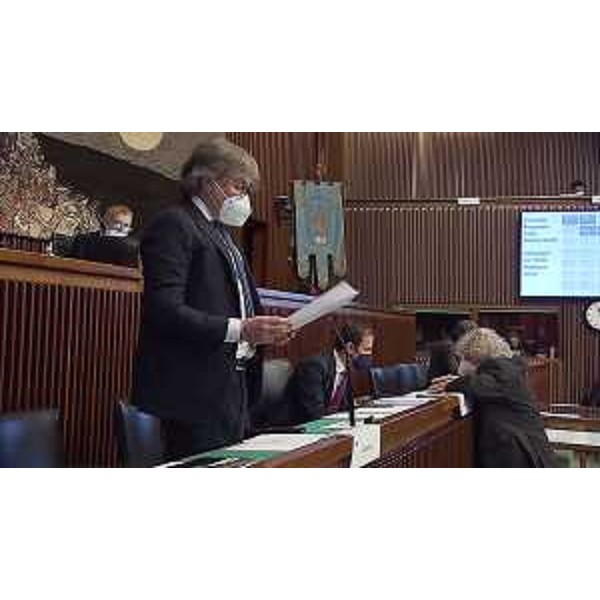 L'assessore Fvg alle Attività produttive, Sergio Emidio Bini, durante l'intervento in Aula - L'assessore Fvg alle Attività produttive, Sergio Emidio Bini, durante l'intervento in Aula