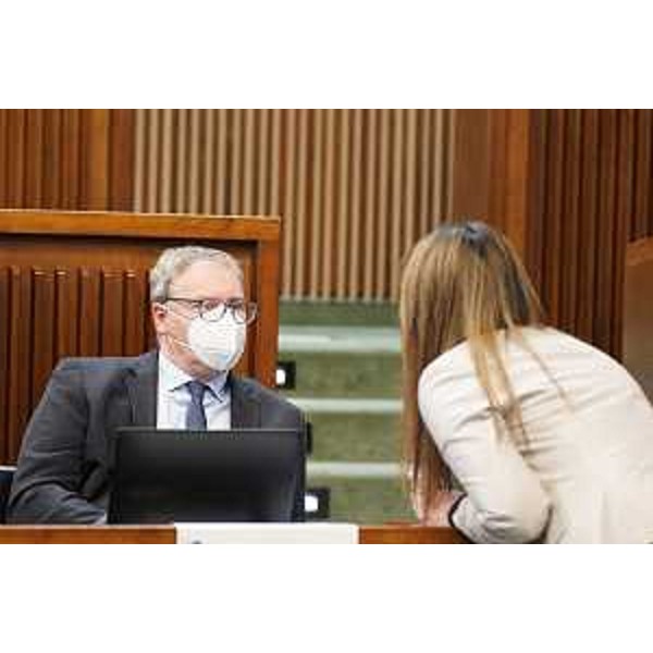 Mauro Bordin, capogruppo della Lega - Mauro Bordin, capogruppo della Lega