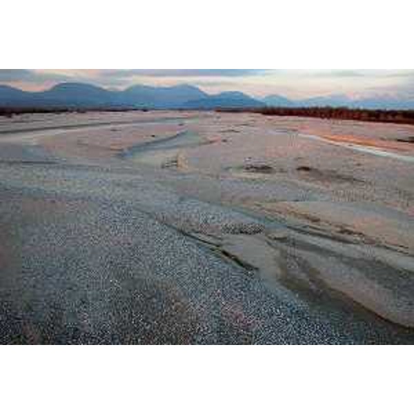 Il greto del fiume Tagliamento e la sua vegetazione ripariale.Foto: archivio del Corpo forestale regionale - Stefano Fabian - Il greto del Fiume Tagliamento e la sua vegetazione ripariale. Foto: Archivio del Corpo forestale regionale - Stefano Fabian