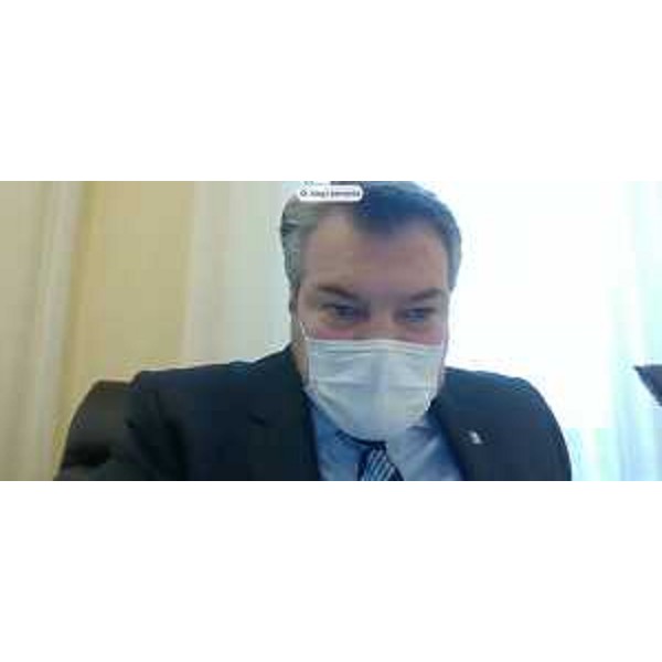 Diego Bernardis (Lega) in videoconferenza - Diego Bernardis (Lega) in videoconferenza