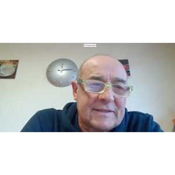 Lorenzo Tosolini (Lega) in videoconferenza - Lorenzo Tosolini (Lega) in videoconferenza