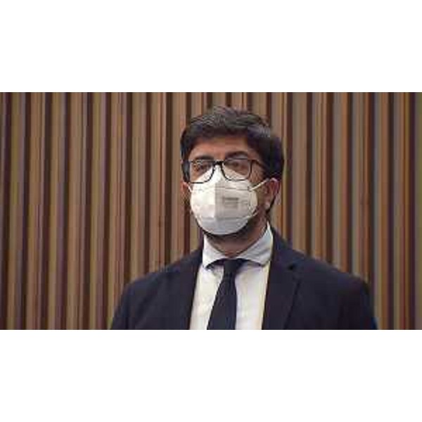 Mauro Capozzella (M5S) - Mauro Capozzella (M5S)