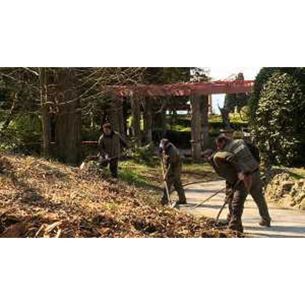 Operai forestali regionali al lavoro nel parco di Miramare a Trieste - Operai forestali regionali al lavoro nel parco di Miramare a Trieste