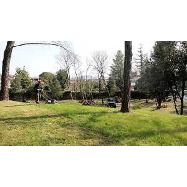 Operai forestali regionali al lavoro nel Parco di Villa Coronini Cronberg a Gorizia - Operai forestali regionali al lavoro nel Parco di Villa Coronini Cronberg a Gorizia