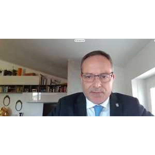 Giuseppe Nicoli (FI) in videoconferenza - Giuseppe Nicoli (FI) in videoconferenza