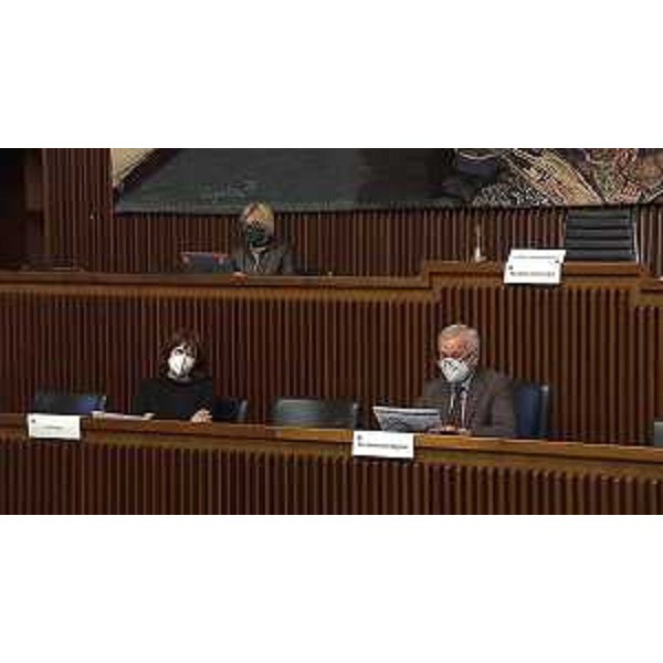 L'assessore Rosolen con il presidente Sibau (Progetto Fvg/Ar) - L'assessore Rosolen con il presidente Sibau (Progetto Fvg/Ar)