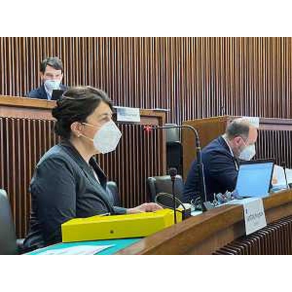 Mariagrazia Santoro, Diego Moretti e Nicola Conficoni (Pd) - Mariagrazia Santoro, Diego Moretti e Nicola Conficoni (Pd)