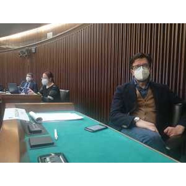 Mauro Capozzella (M5S) - Mauro Capozzella (M5S)