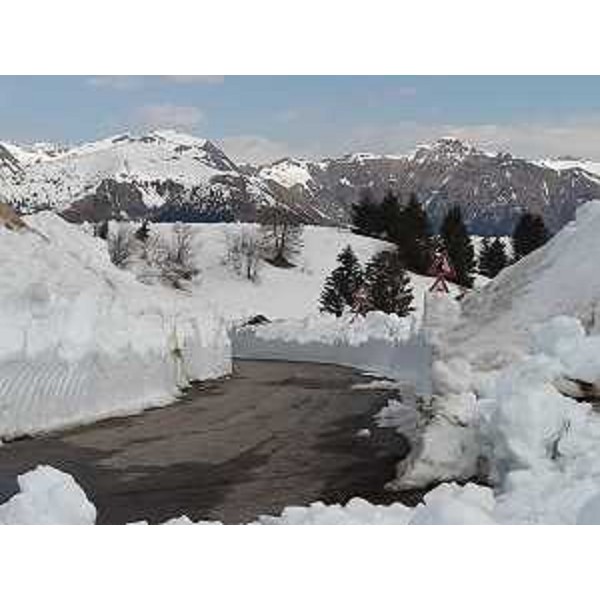 L'ultima curva della strada che porta all'arrivo del Giro d'Italia sullo Zoncolan - L'ultima curva della strada che porta all'arrivo del Giro d'Italia sullo Zoncolan