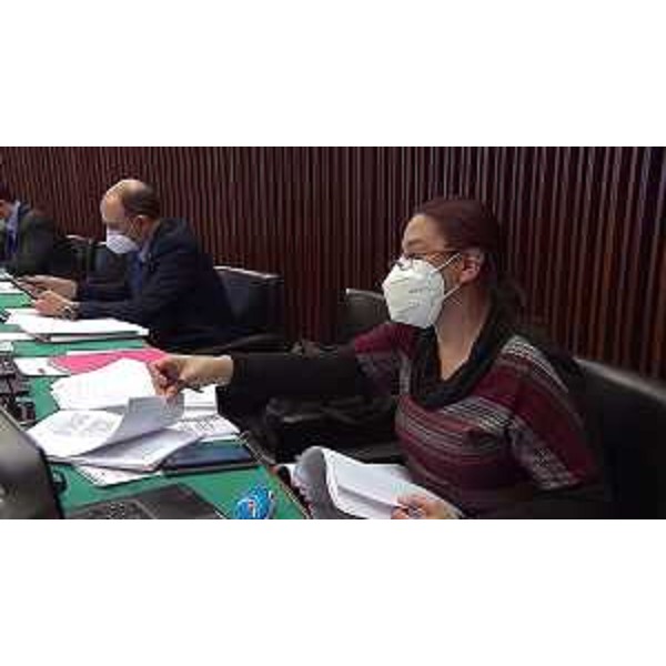 Ilaria Dal Zovo (M5S) - Ilaria Dal Zovo (M5S)