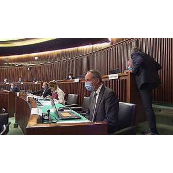 Giuseppe Nicoli (FI) - Giuseppe Nicoli (FI)