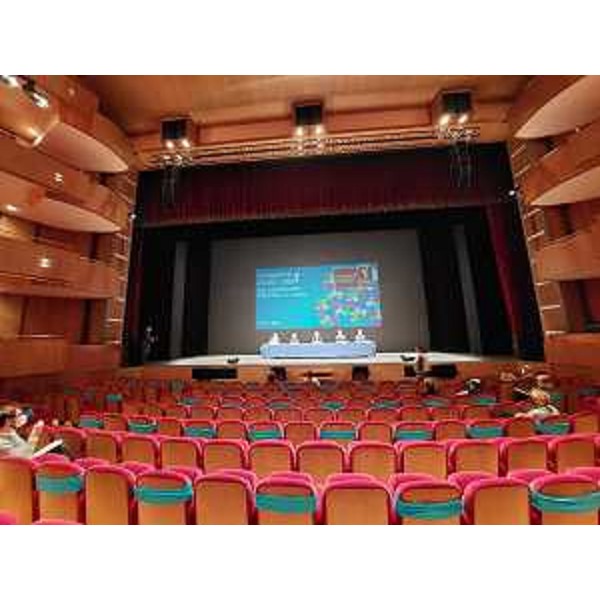 La platea del teatro Giovanni da Udine - La platea del teatro Giovanni da Udine 
