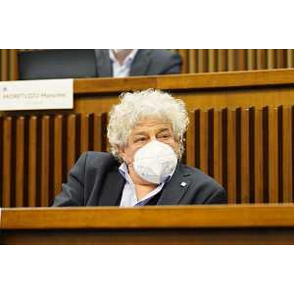 Elia Miani (Lega) - Elia Miani (Lega)