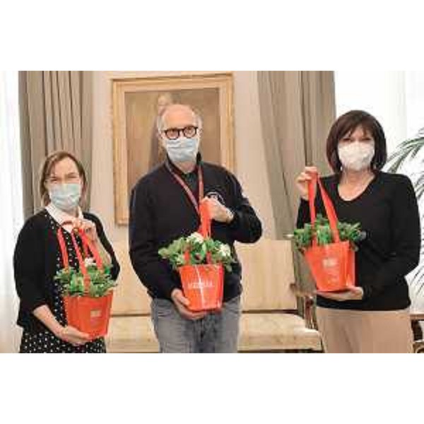 Da sinistra il presidente di Aism Fvg, Paola Gaggi, il vicegovernatore Riccardo Riccardi e lassessore alla Ricerca, Alessia Rosolen. - Da sinistra il presidente di Aism Fvg, Paola Gaggi, il vicegovernatore Riccardo Riccardi e lassessore alla Ricerca, Alessia Rosolen.