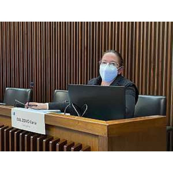 Ilaria Dal Zovo (M5S) - Ilaria Dal Zovo (M5S)