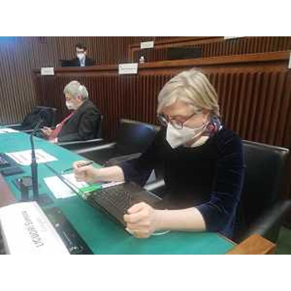 Simona Liguori (Cittadini) e Furio Honsell (Open) durante una seduta della III Commissione - Simona Liguori (Cittadini) e Furio Honsell (Open) durante una seduta della III Commissione