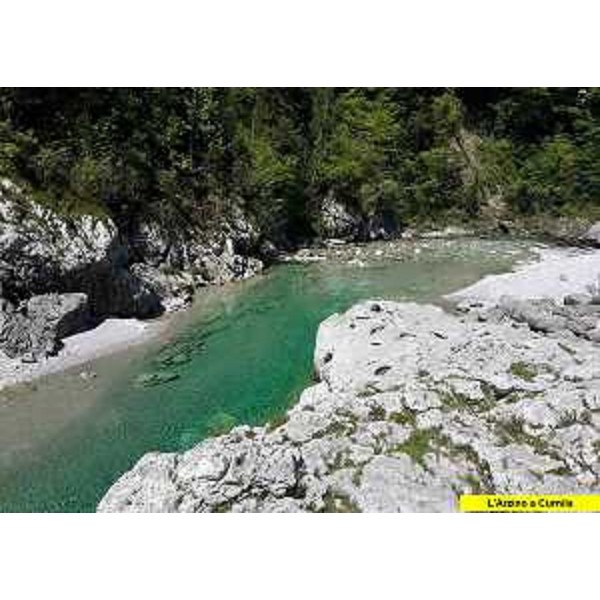 Un tratto dell'Arzino - Un tratto dell'Arzino