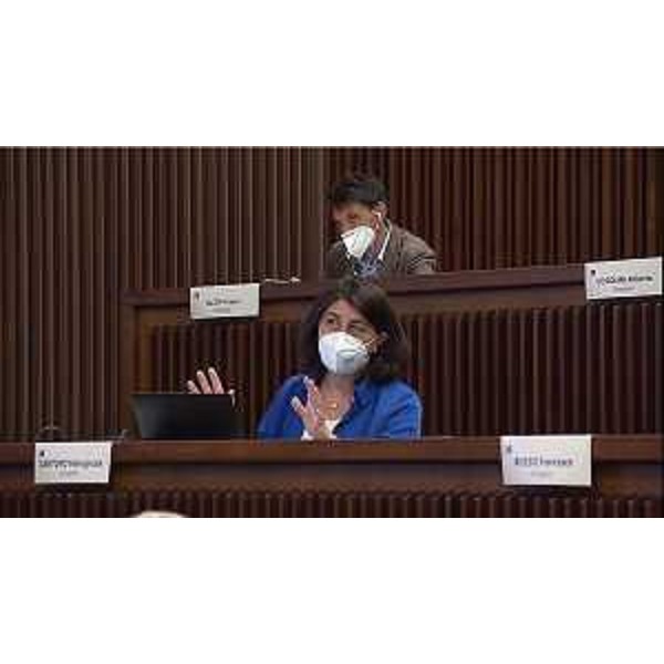 Mariagrazia Santoro e Nicola Conficoni (Pd) - Mariagrazia Santoro e Nicola Conficoni (Pd)