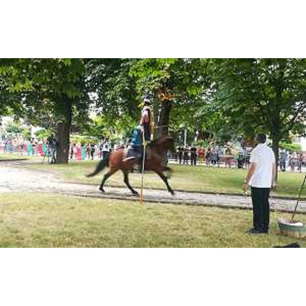 La prova finale del Palio dei Turchi - La prova finale del Palio dei Turchi