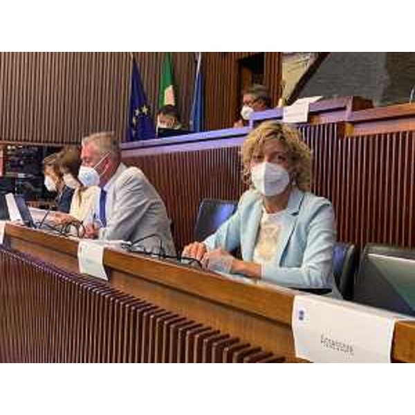 L'assessore regionale alle Finanze Barbara Zilli, alla seduta della I Commissione integrata. - L'assessore regionale alle Finanze Barbara Zilli, alla seduta della I Commissione integrata.