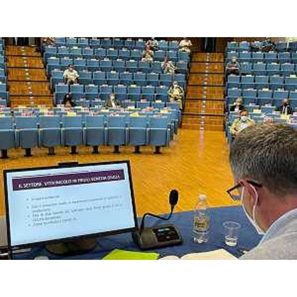 L'assessore regionale alle Risorse agroalimentari e forestali, Stefano Zannier, alla presentazione dell'indagine congiunturale sul mondo rurale 2020 e sulla viticoltura. - L'assessore regionale alle Risorse agroalimentari e forestali, Stefano Zannier, alla presentazione dell'indagine congiunturale sul mondo rurale 2020 e sulla viticoltura. 