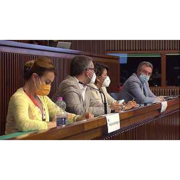 Mara Piccin, presidente della IV Commissione, accanto agli assessori Graziano Pizzimenti e Pierpaolo Roberti - Mara Piccin, presidente della IV Commissione, accanto agli assessori Graziano Pizzimenti e Pierpaolo Roberti