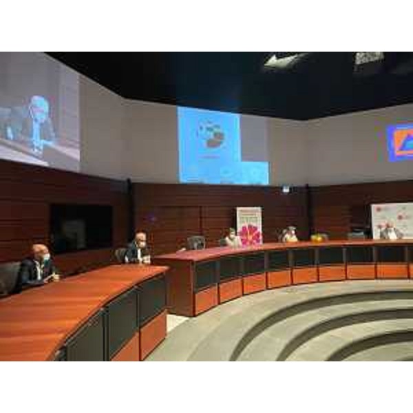 Il vicegovernatore Riccardo Riccardi in viedoconferenza da Palmanova con i rappresentanti delle organizzazioni sindacali del settore sanità - Il vicegovernatore Riccardo Riccardi in viedoconferenza da Palmanova con i rappresentanti delle organizzazioni sindacali del settore sanità