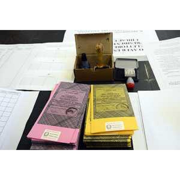 Schede elettorali pronte per l'inizio dei lavori ai seggi - Schede elettorali pronte per l'inizio dei lavori ai seggi