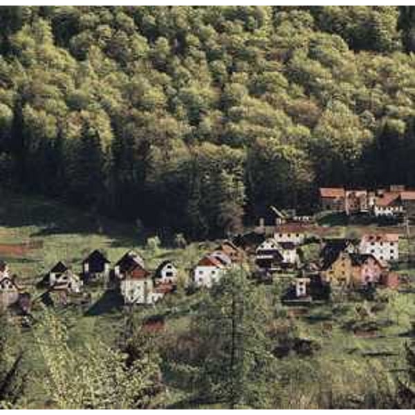 Una veduta dell'area di Rigolato (Udine) - Una veduta dell'area di Rigolato (Udine)