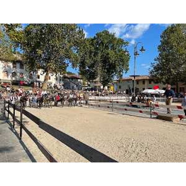 La partenza della prima batteria della 131° Corsa degli asini di Fagagna (Udine) - La partenza della prima batteria della 131° Corsa degli asini di Fagagna (Udine)