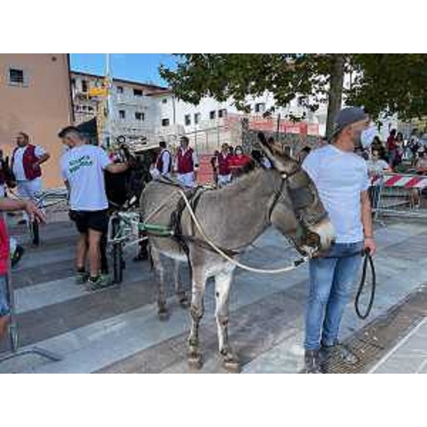 Uno dei protagonisti della tradizionale corsa di Fagagna (Udine) in attesa di scendere in pista - Uno dei protagonisti della tradizionale corsa di Fagagna (Udine) in attesa di scendere in pista