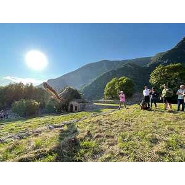 Un grifone spicca il volo verso la libertà nella Riserva naturale lago di Cornino - Un grifone spicca il volo verso la libertà nella Riserva naturale lago di Cornino 