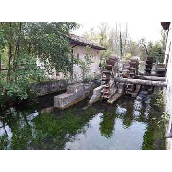 Il mulino Braida e le risorgive dello Stella - Il mulino Braida e le risorgive dello Stella