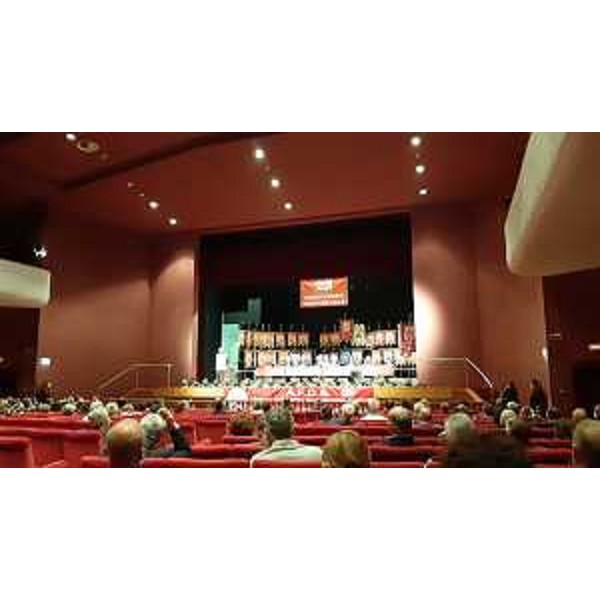 Il congresso provinciale Afds di Pordenone al Teatro Zancanaro di Sacile - Il congresso provinciale Afds di Pordenone al Teatro Zancanaro di Sacile