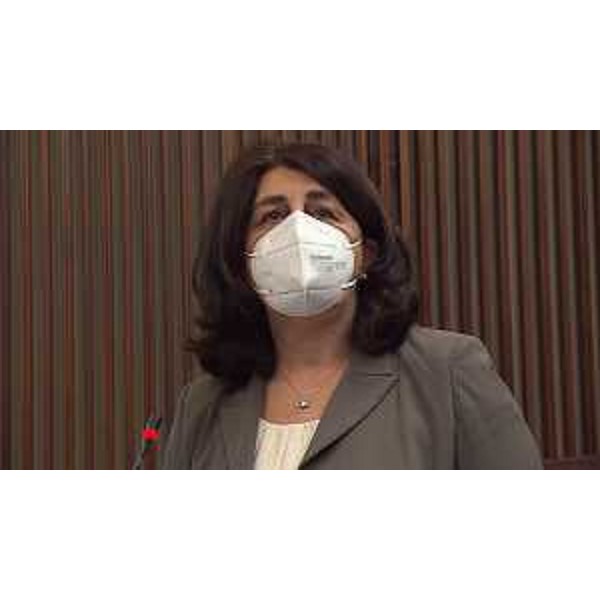 Mariagrazia Santoro (Pd) - Mariagrazia Santoro (Pd)