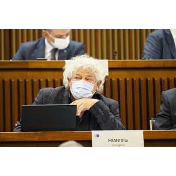 Elia Miani (Lega) - Elia Miani (Lega)