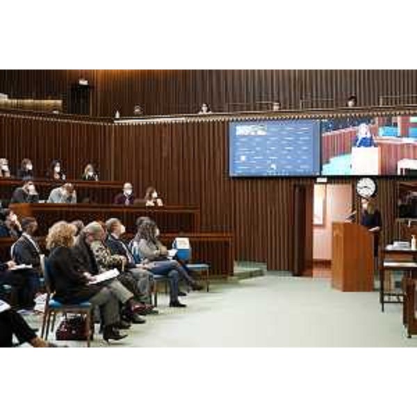 I lavori della conferenza in aula - I lavori della conferenza in aula