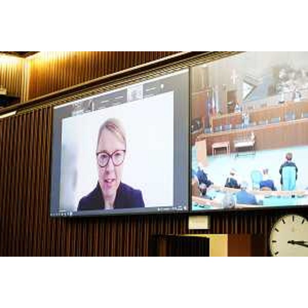 Helena Jaklitsch, ministro per gli Sloveni nel mondo, interviene in modalità telematica - Helena Jaklitsch, ministro per gli Sloveni nel mondo, interviene in modalità telematica