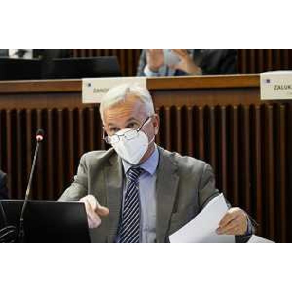 Giuseppe Sibau (PrFvg/Ar) - Giuseppe Sibau (PrFvg/Ar)