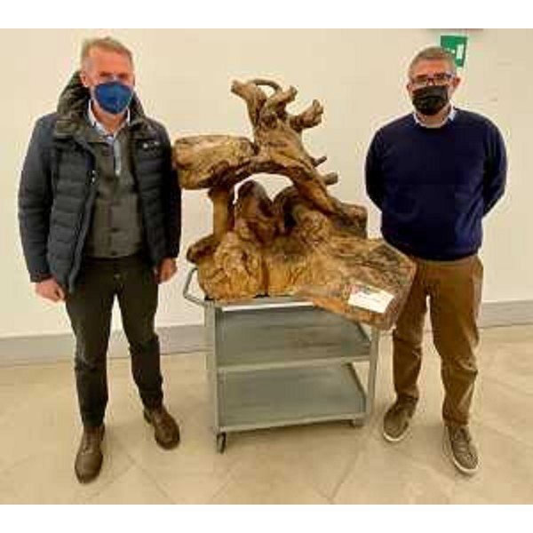 Lassessore regionale alle Autonomie locali, Pierpaolo Roberti, al momento della consegna da parte dellassessore comunale di Sutrio al Turismo, Daniele Straulino, dellopera dallartista Isaia Moro che verrà esposta nei locali della Presidenza della Regione. - Lassessore regionale alle Autonomie locali, Pierpaolo Roberti, al momento della consegna da parte dellassessore comunale di Sutrio al Turismo, Daniele Straulino, dellopera dallartista Isaia Moro che verrà esposta nei locali della Presidenza della Regione. 