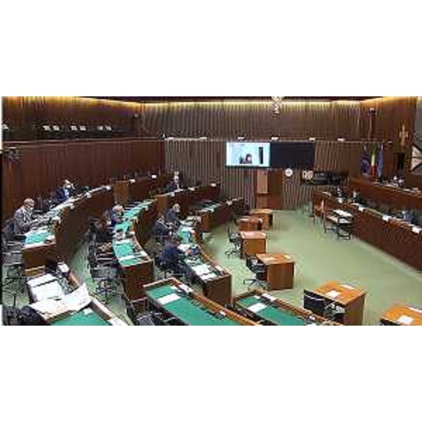 L'intervento da remoto dell'assessore Alessia Rosolen durante la II Commissione - L'intervento da remoto dell'assessore Alessia Rosolen durante la II Commissione