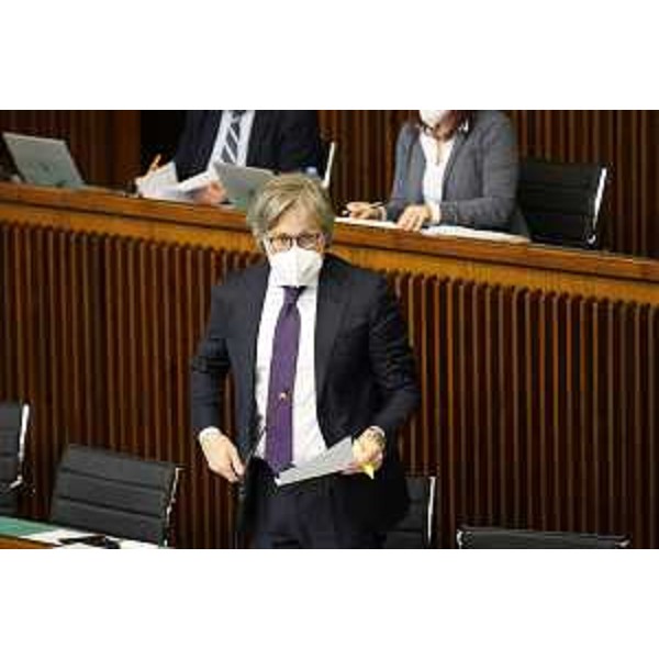 L'assessore Fvg alle Attività produttive, Sergio Emidio Bini - L'assessore Fvg alle Attività produttive, Sergio Emidio Bini