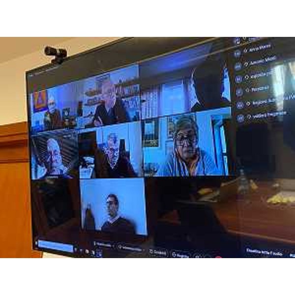 I rappresentanti delle organizzazioni sindacali della dirigenza dellarea sanitaria del Fvg in videoconferenza con il vicegovernatore Riccardi - I rappresentanti delle organizzazioni sindacali della dirigenza dellarea sanitaria del Fvg in videoconferenza con il vicegovernatore Riccardi