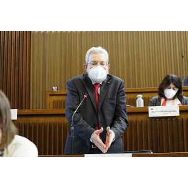 furio Honsell (Open Fvg) - furio Honsell (Open Fvg)