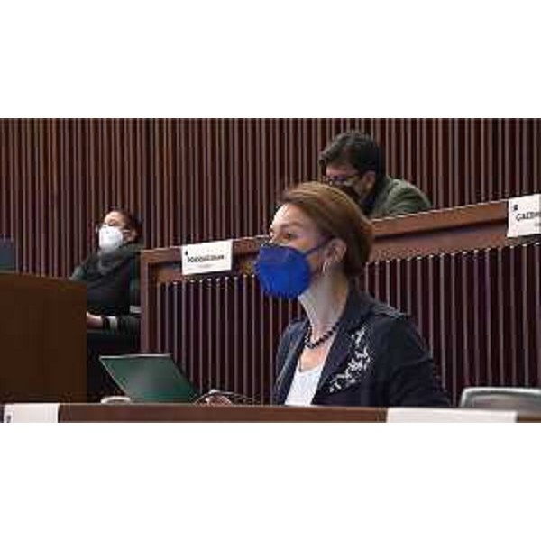 Mara Piccin (FI) - Mara Piccin (FI)