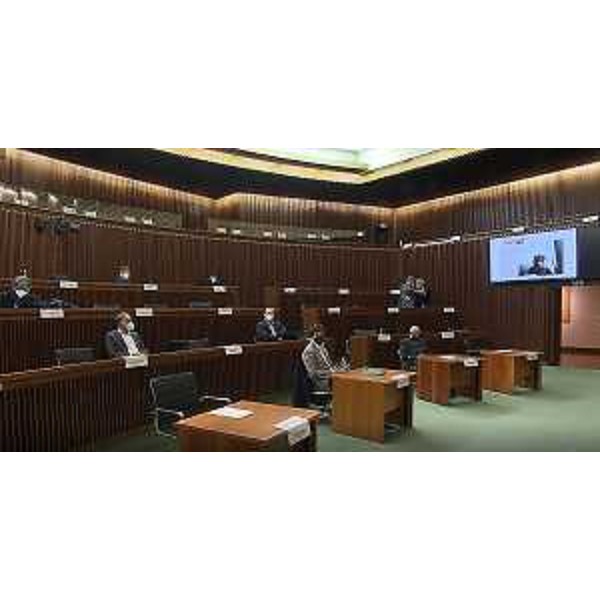 La VI Commissione durante l'intervento da remoto dell'assessore Alessia Rosolen - La VI Commissione durante l'intervento da remoto dell'assessore Alessia Rosolen