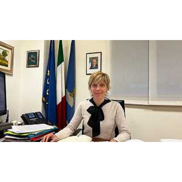 L'assessore regionale alle Finanze Barbara Zilli - L'assessore regionale alle Finanze Barbara Zilli